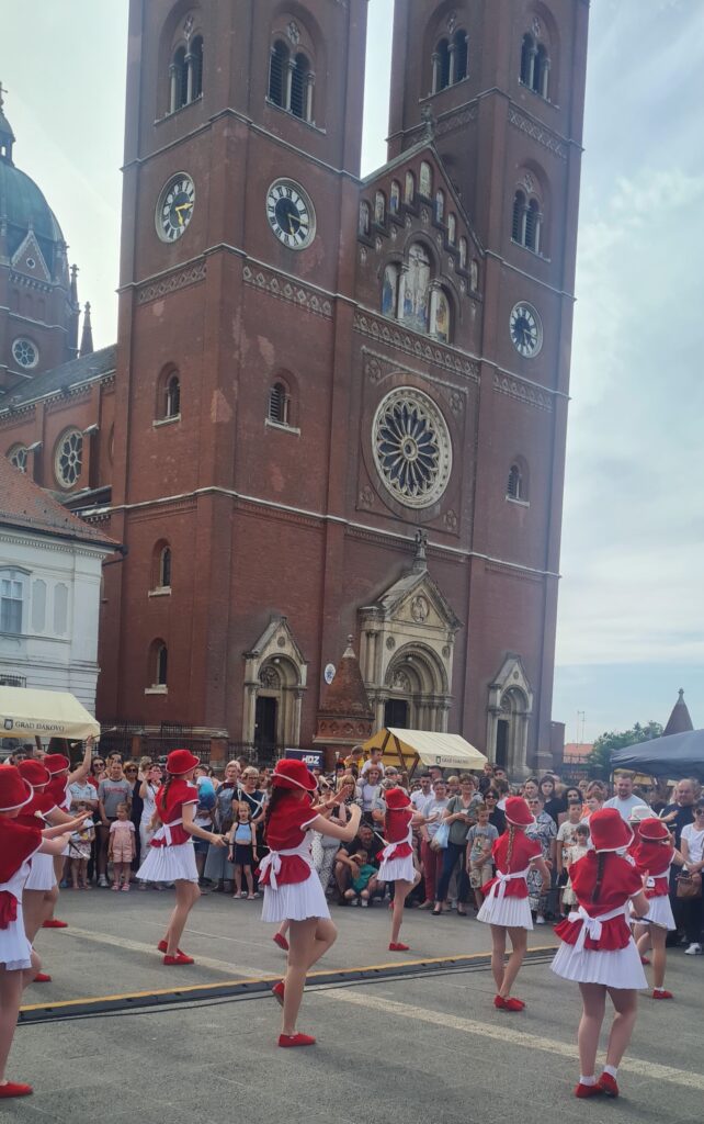 HUMANITARNA MANIFESTACIJA
